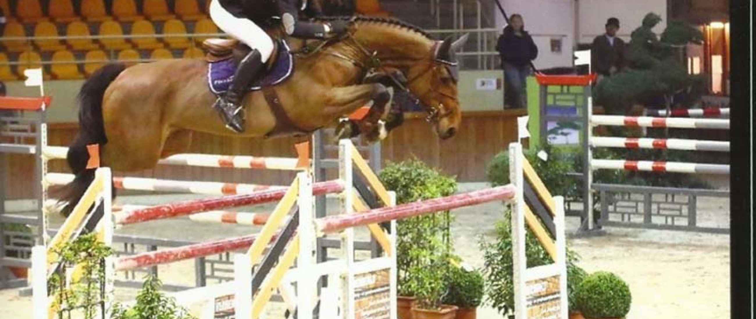 Picobello Catana won @ Zilveren Spoor