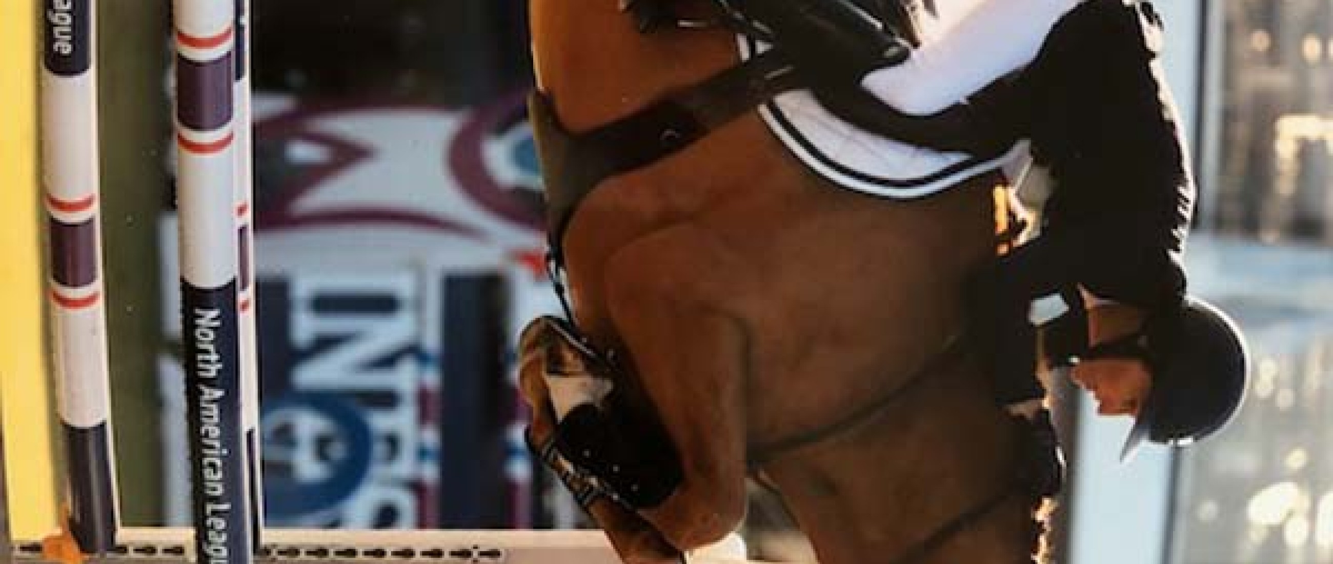 Picobello Choppin comes second in the CSI4* 1.45 in Wellington