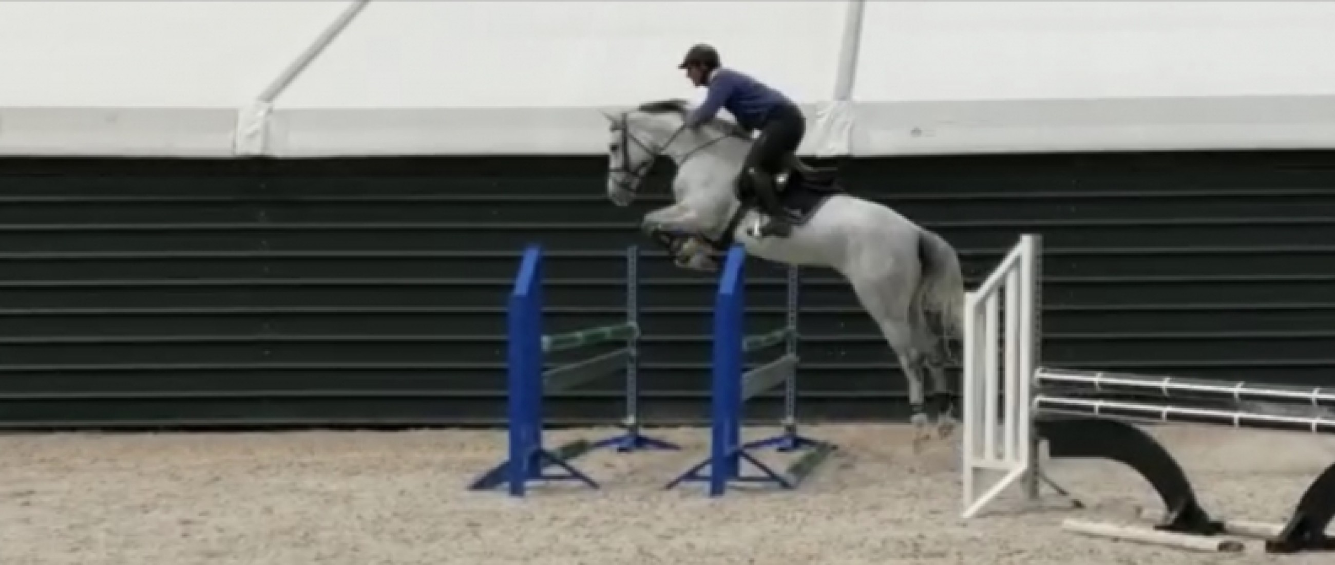 Les Ecuries de Moerhoeve investissent dans deux jeunes chevaux.