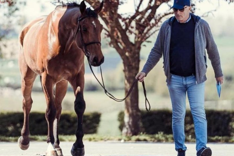 Welcome Picobello Horses